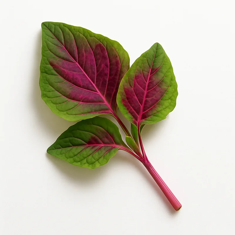 Amaranth Leave