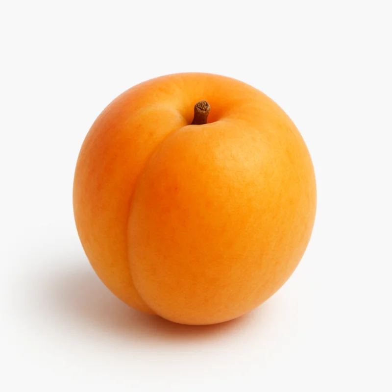 Apricot