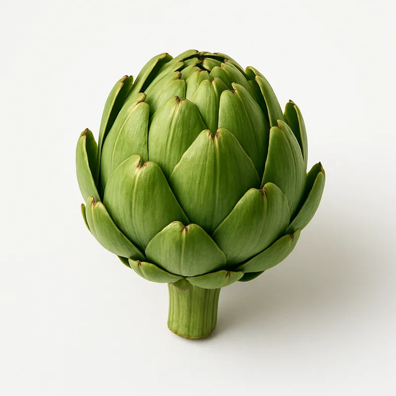 Artichoke