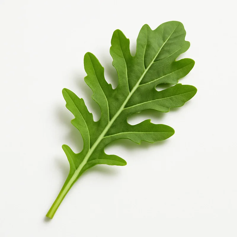 Arugula