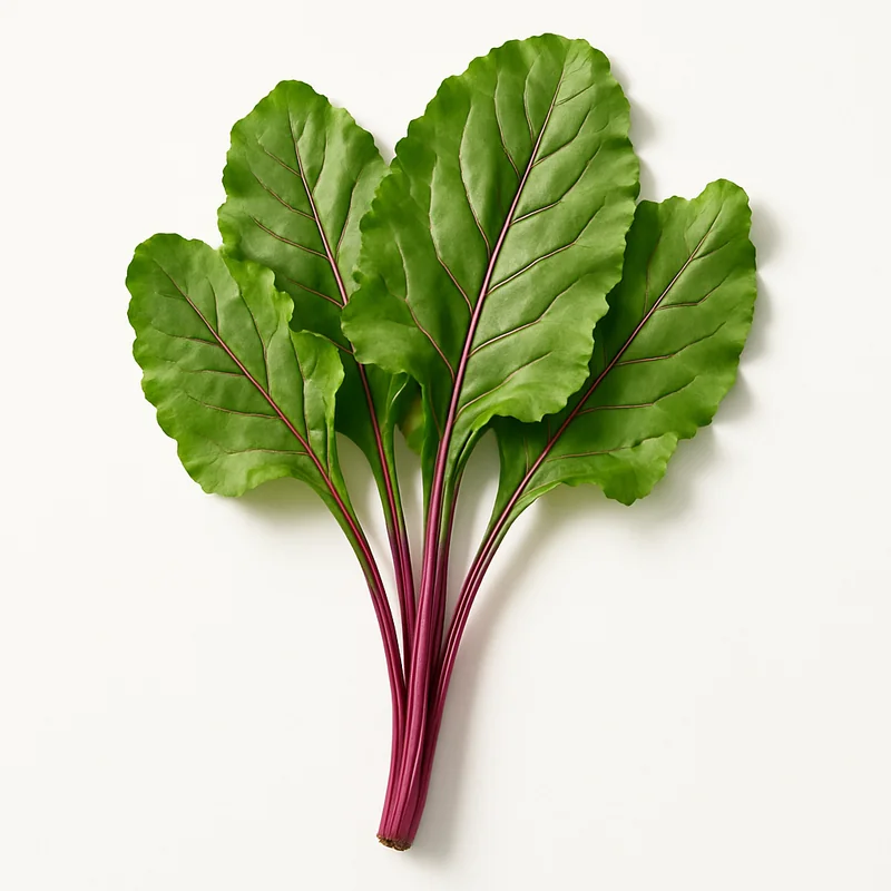 Beet Green