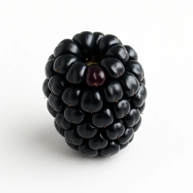 Blackberries