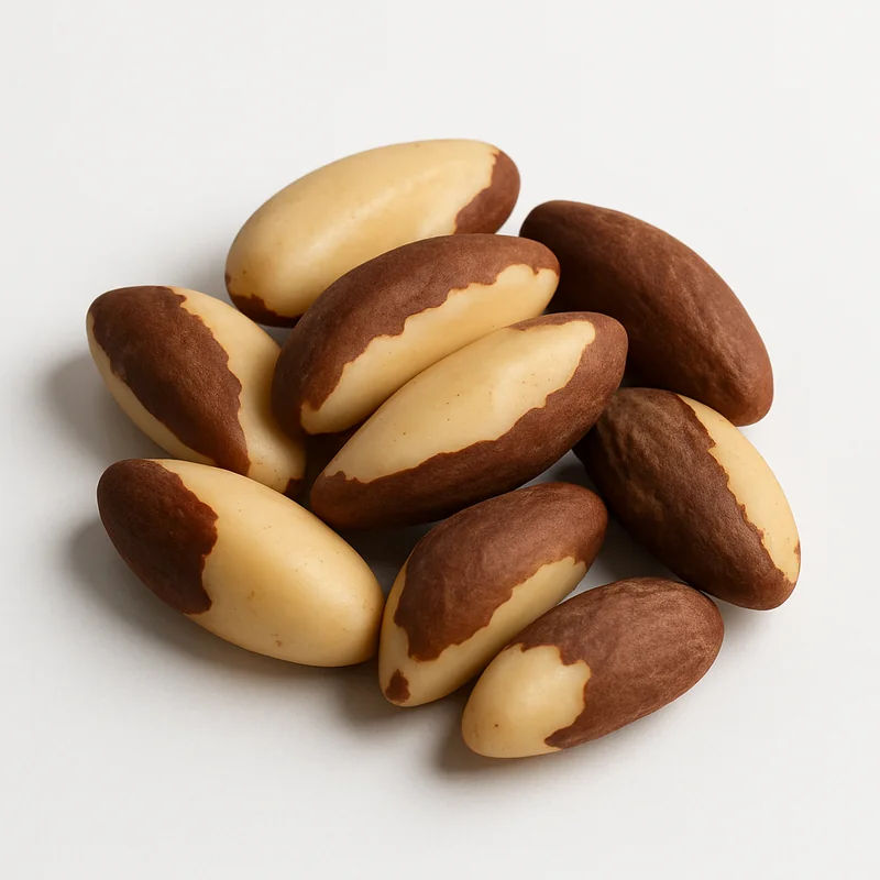 Brazil Nut