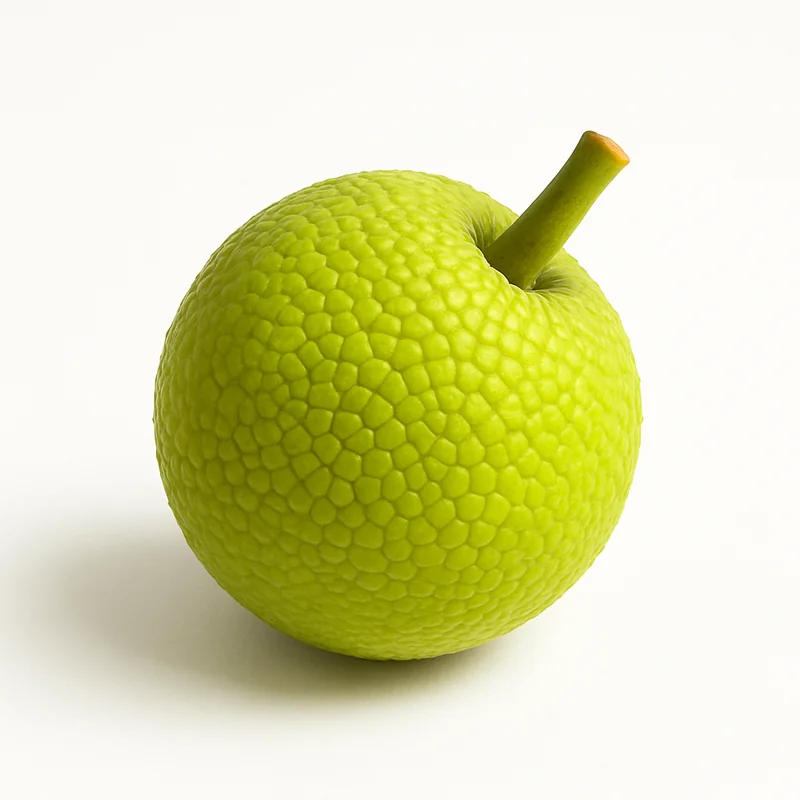 Breadfruit