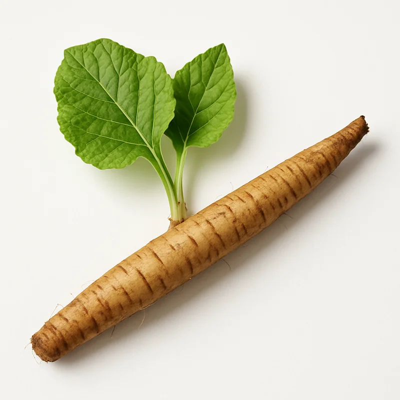 Burdock Root