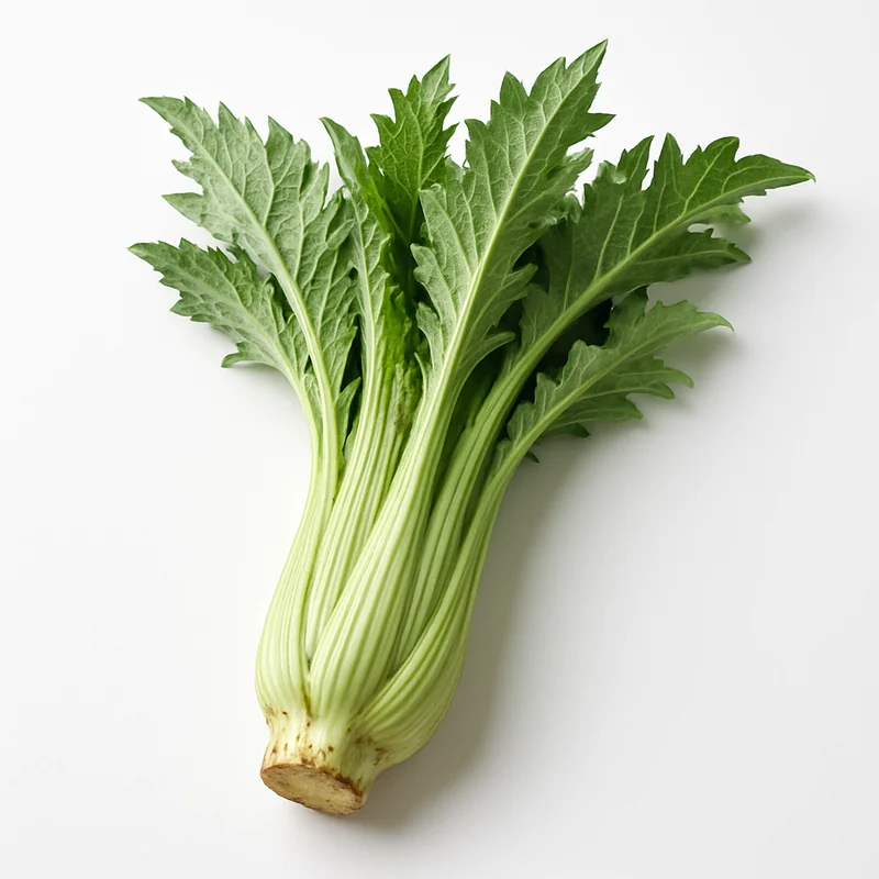 Cardoon