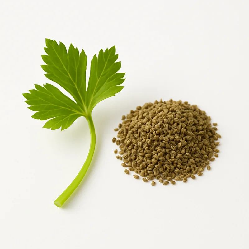 Celery Seed