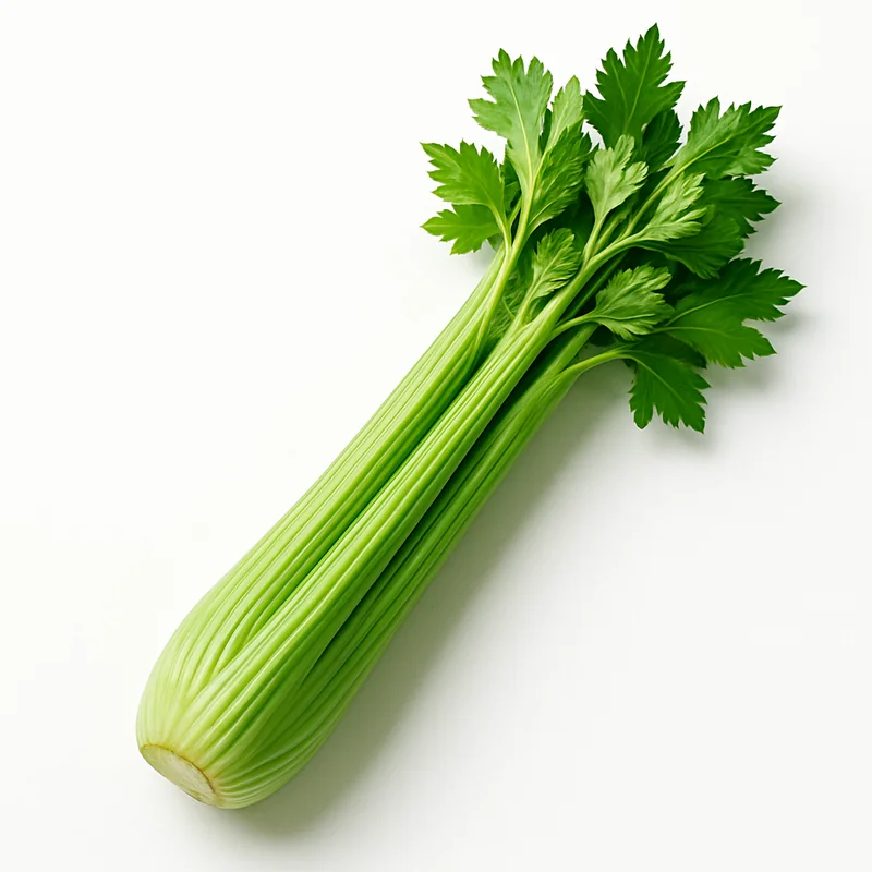 Celery