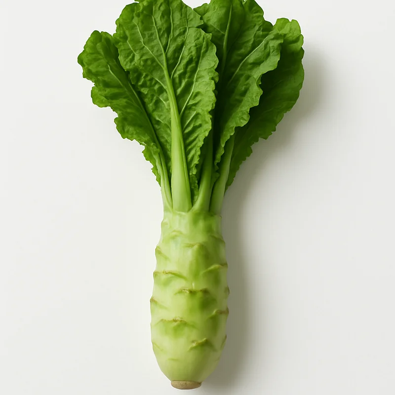 Celtuce