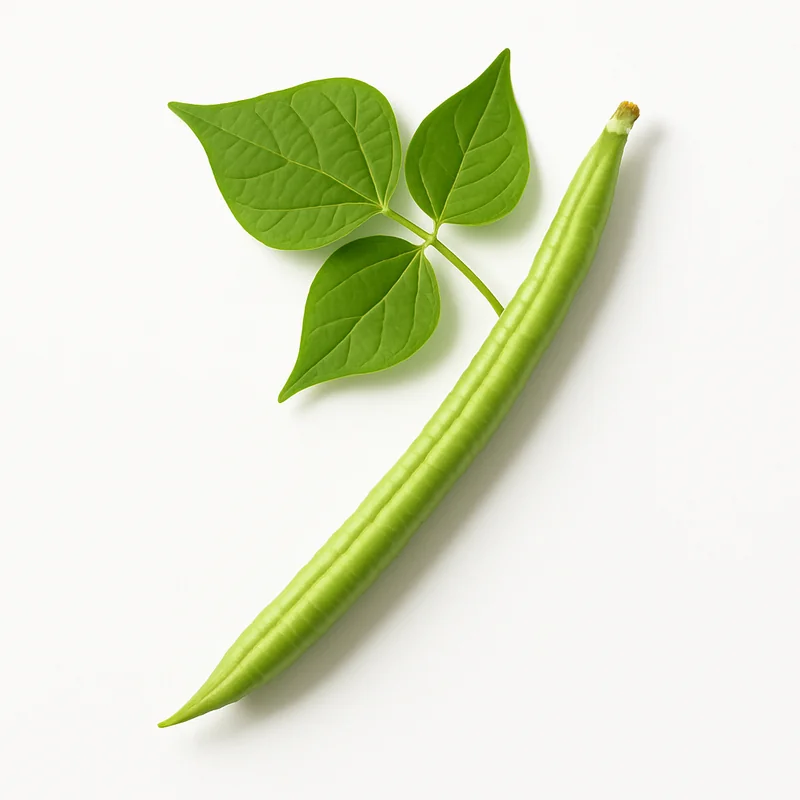 Cowpea