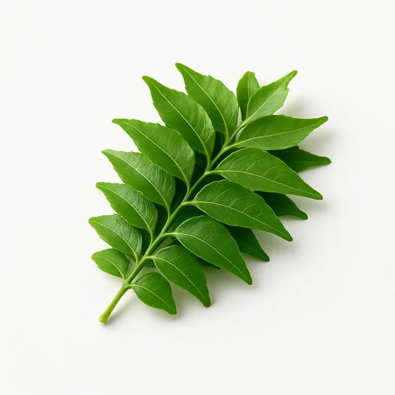 Curry Leaf