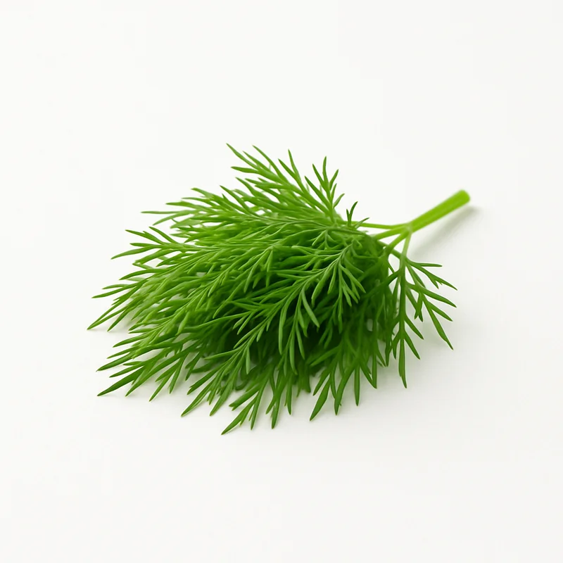 Dill Seed