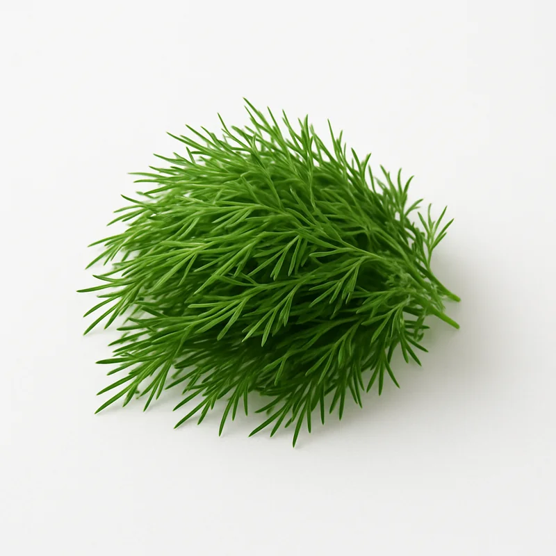 Dill Weed