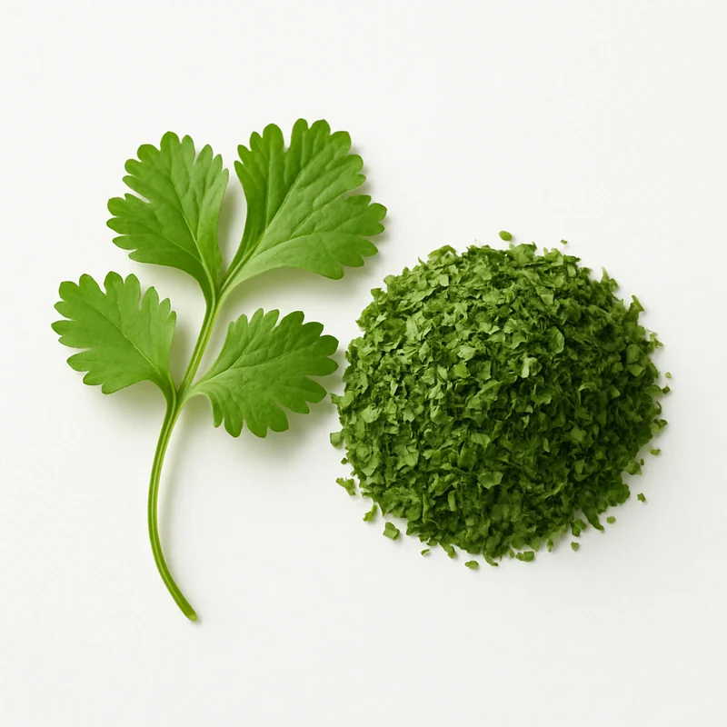 Cilantro (Dried)
