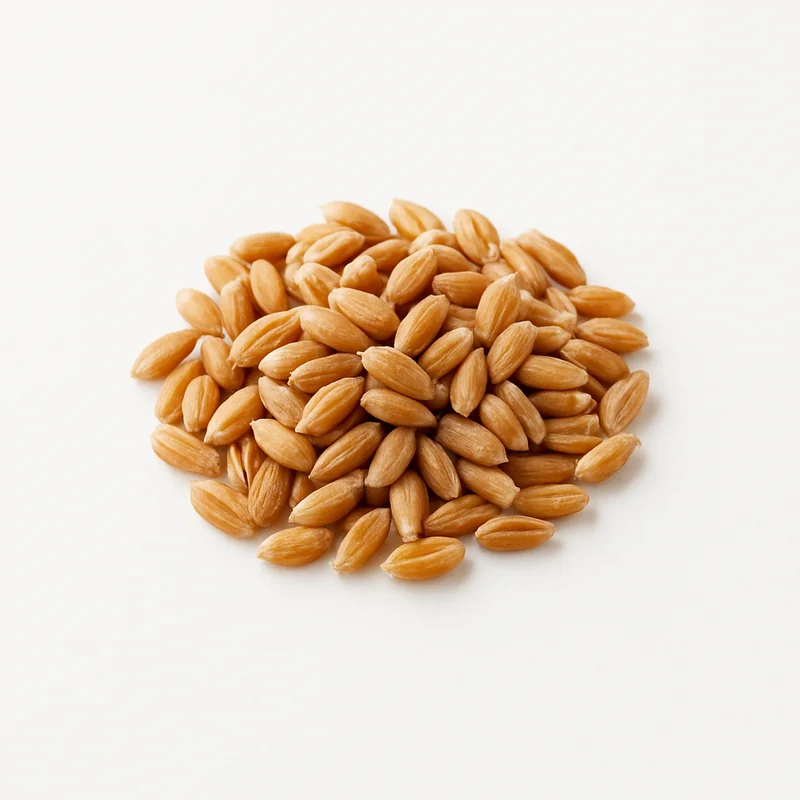 Einkorn
