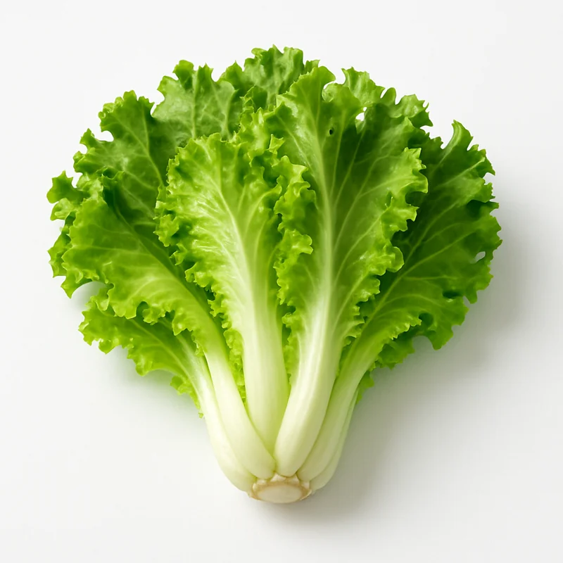 Escarole