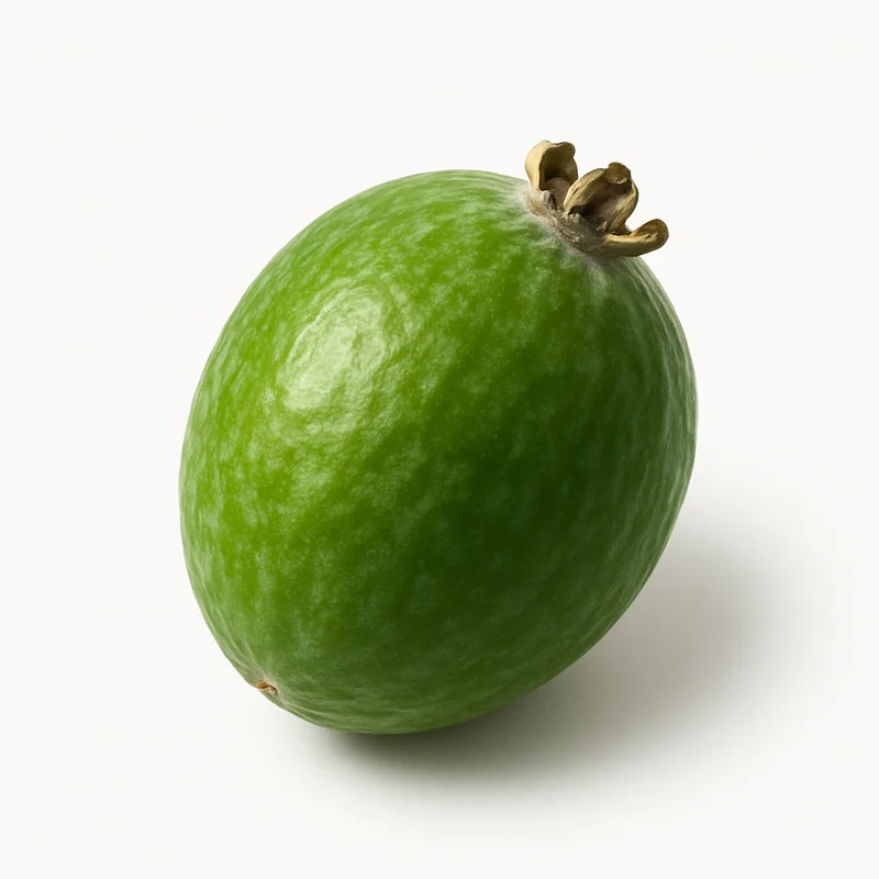 Feijoa