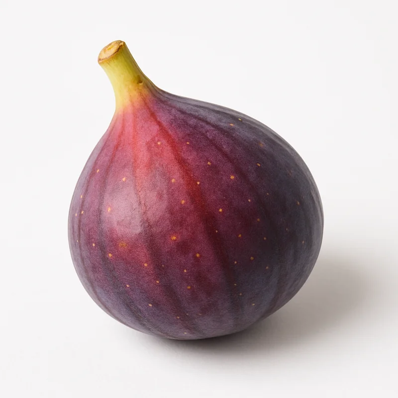 Fig