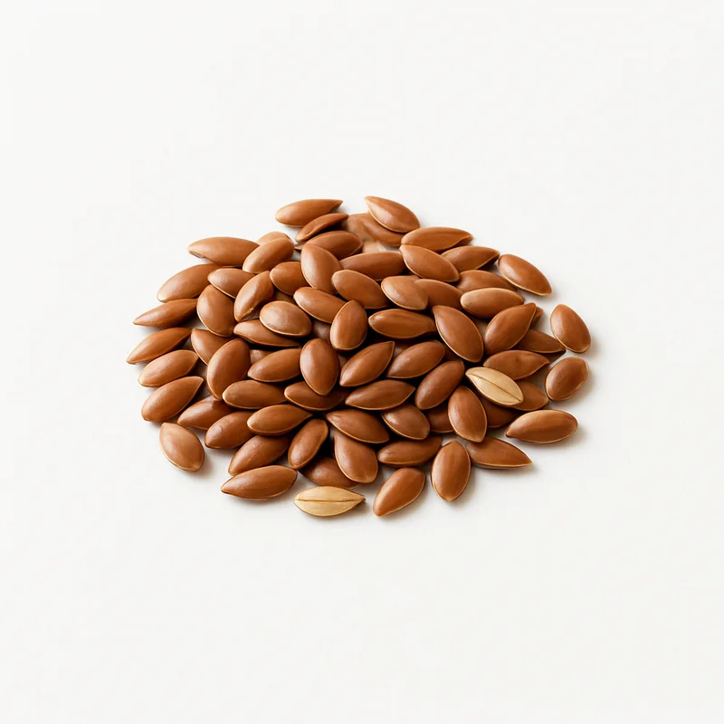 Flax Seeds