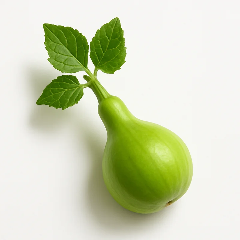 Gourd
