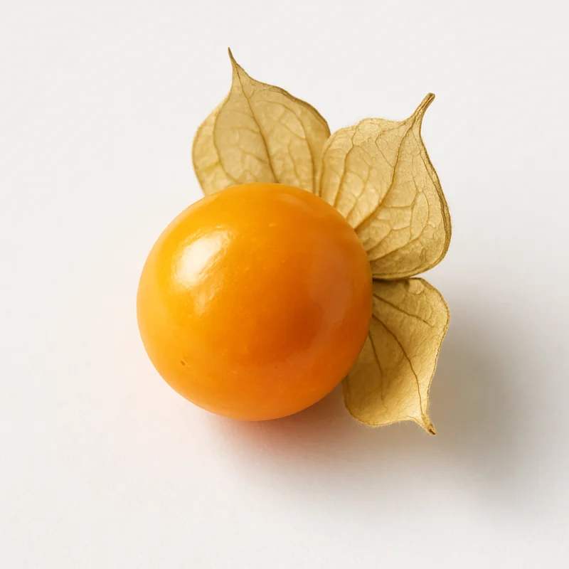 Groundcherries