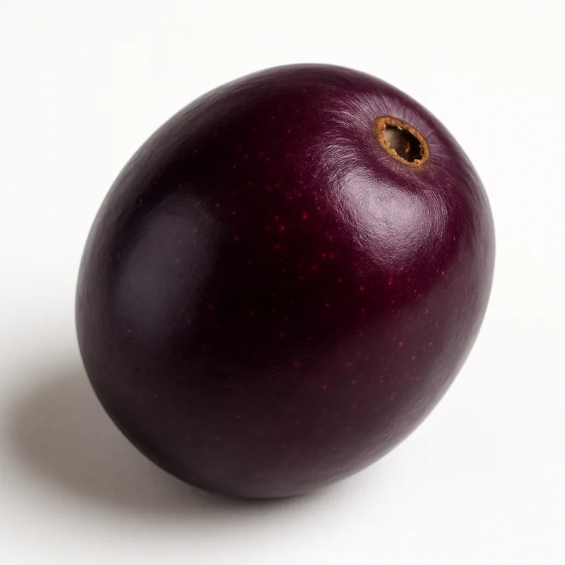 Java-Plum