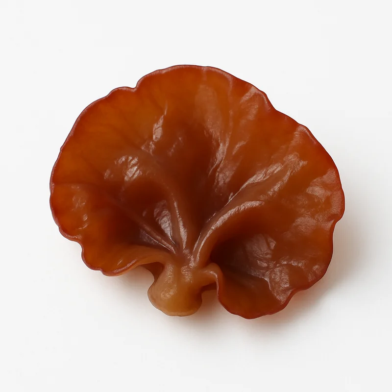 Jew'S Ear