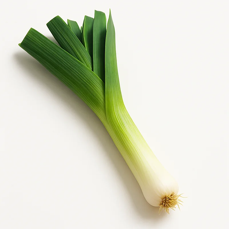 Leek