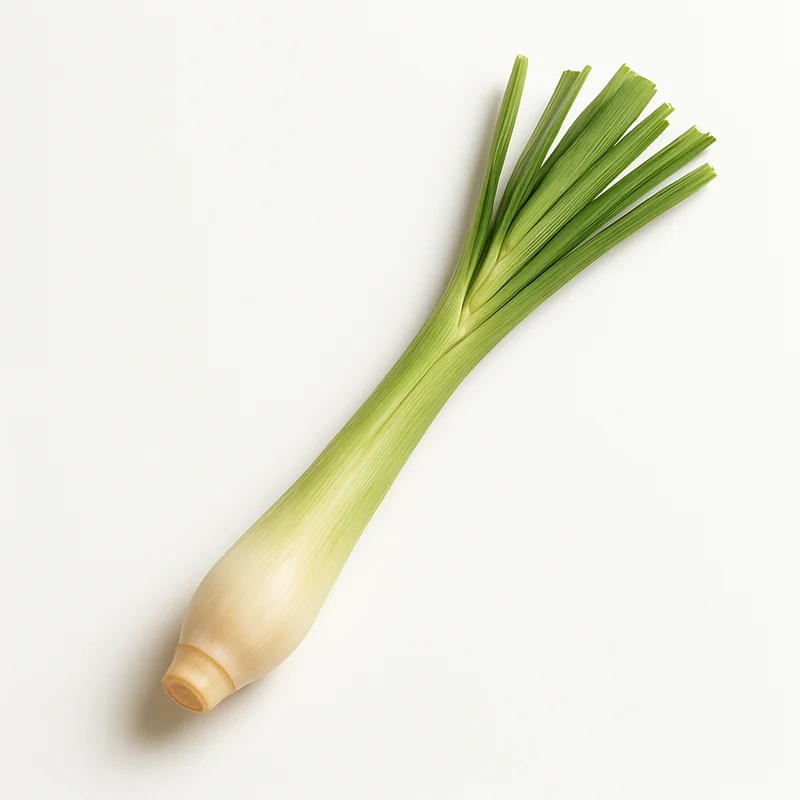 Lemon Grass (Citronella)
