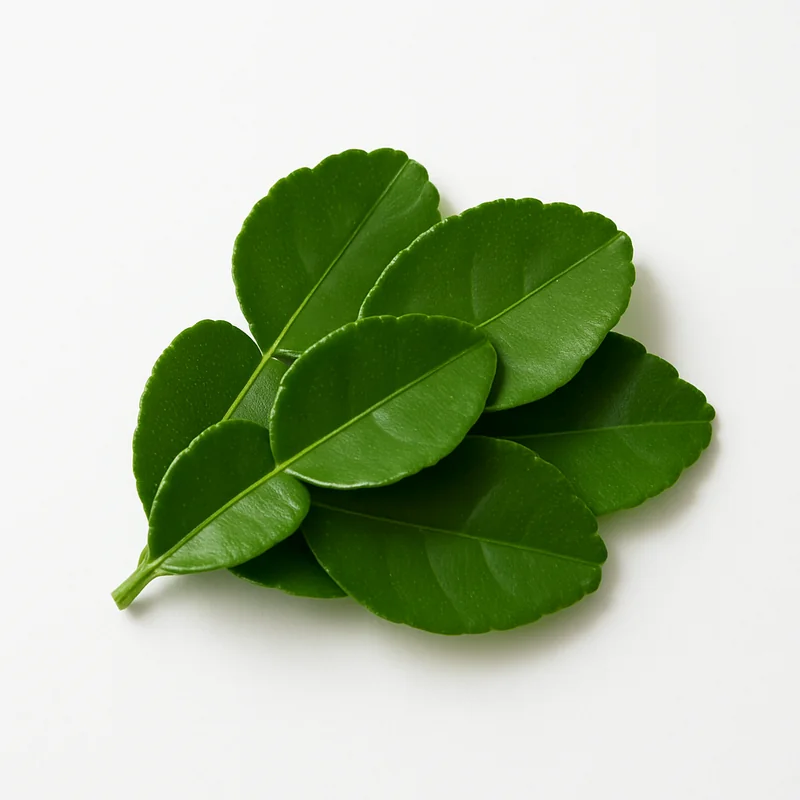 Makrut Lime Leaf