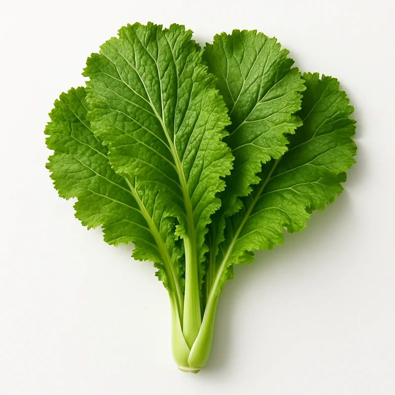 Mustard Green
