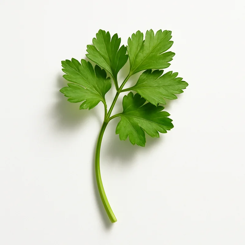 Parsley