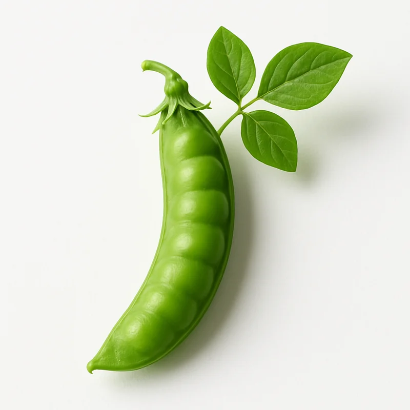 Pea