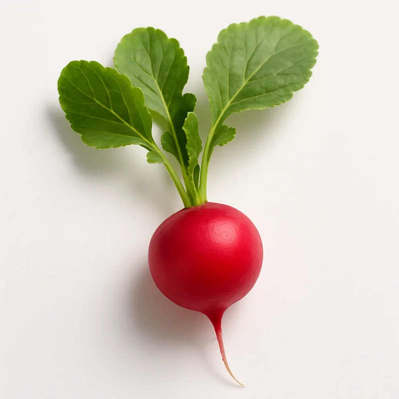 Radish Seed