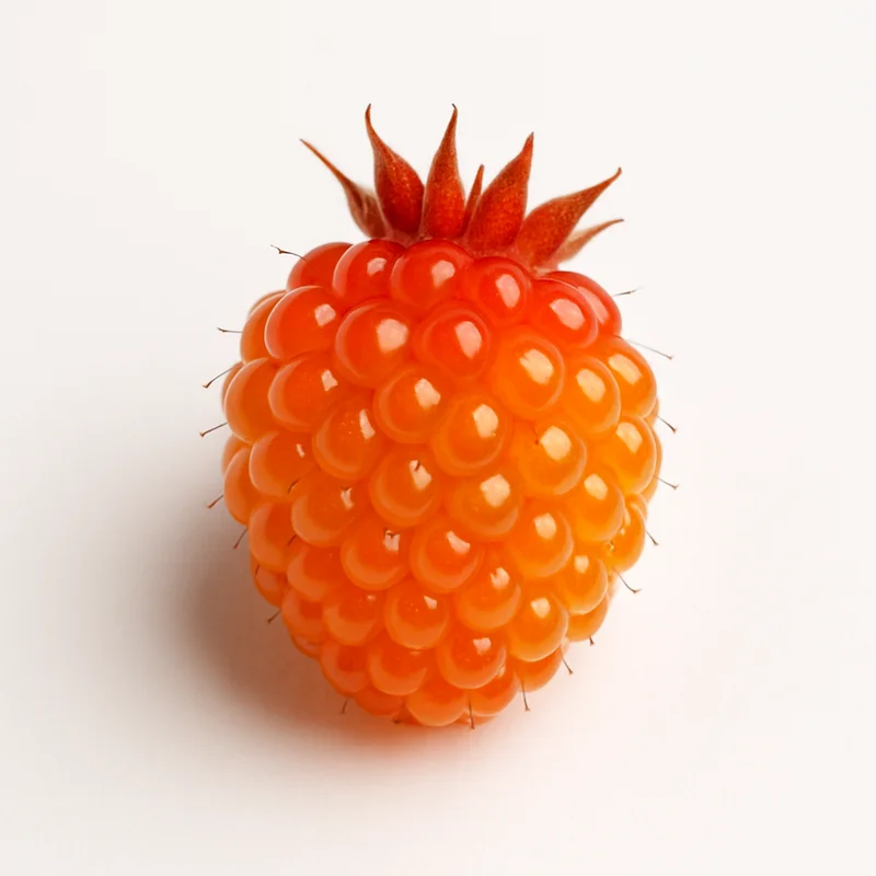 Salmonberries