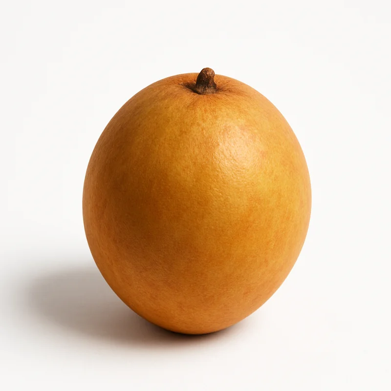 Sapodilla