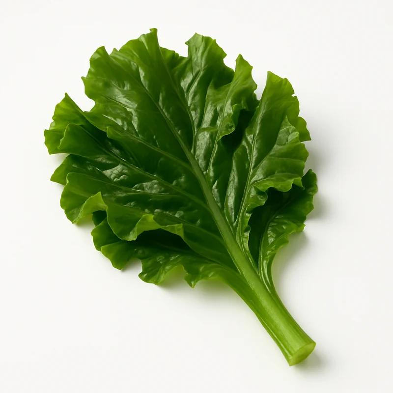 Seaweed