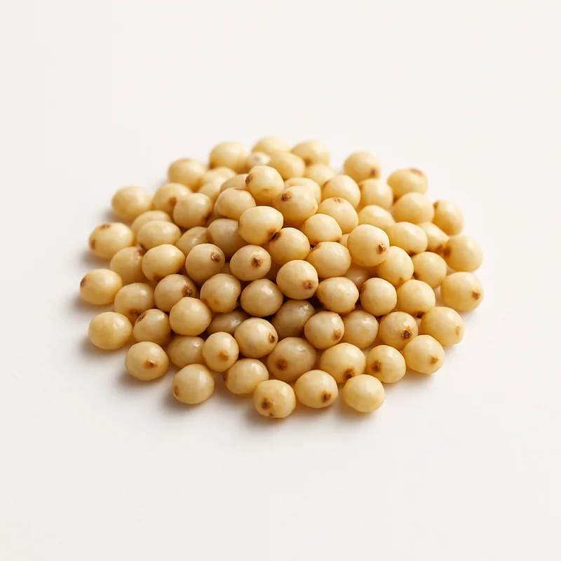 Sorghum Grain