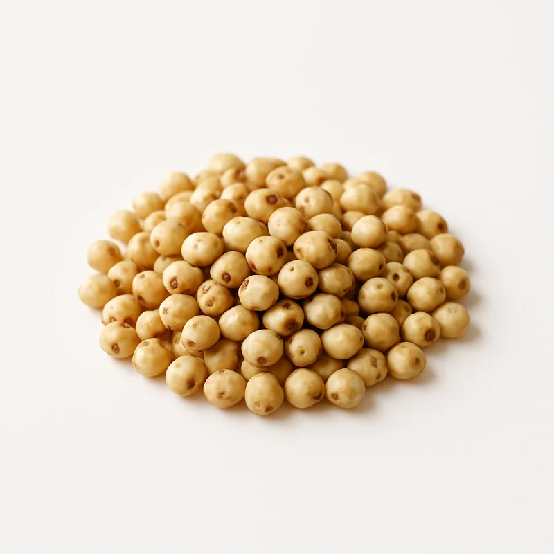 Sorghum