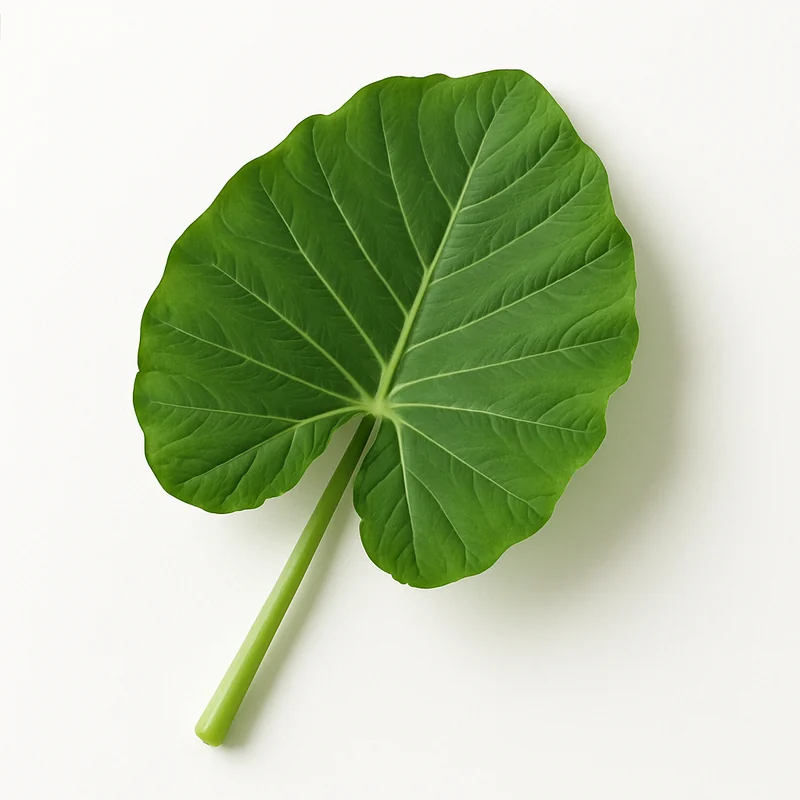 Taro Leave