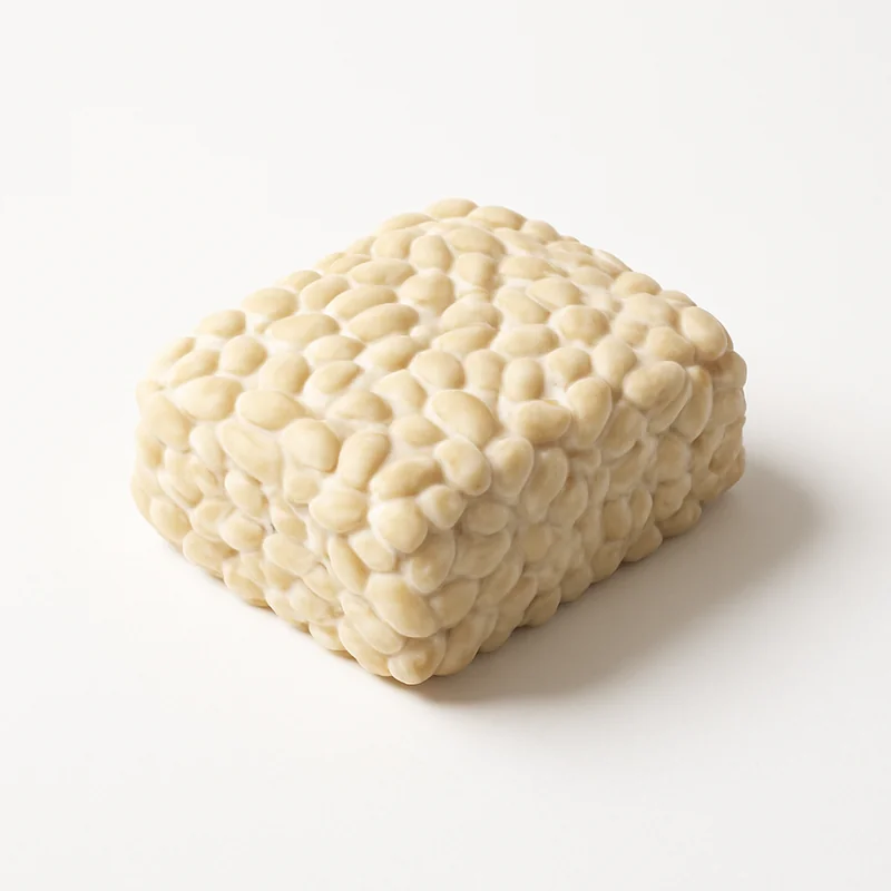 Tempeh
