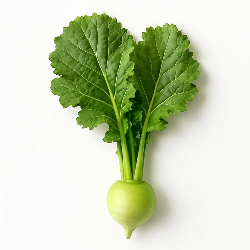 Turnip Green