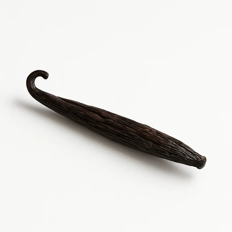 Vanilla Bean