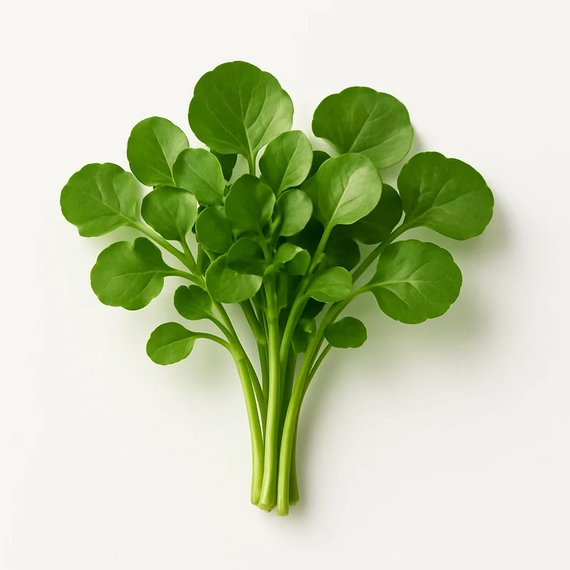 Watercress