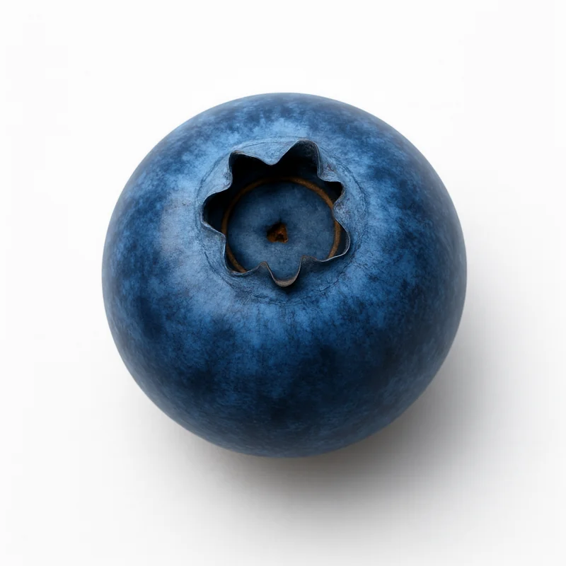 Wild Blueberries