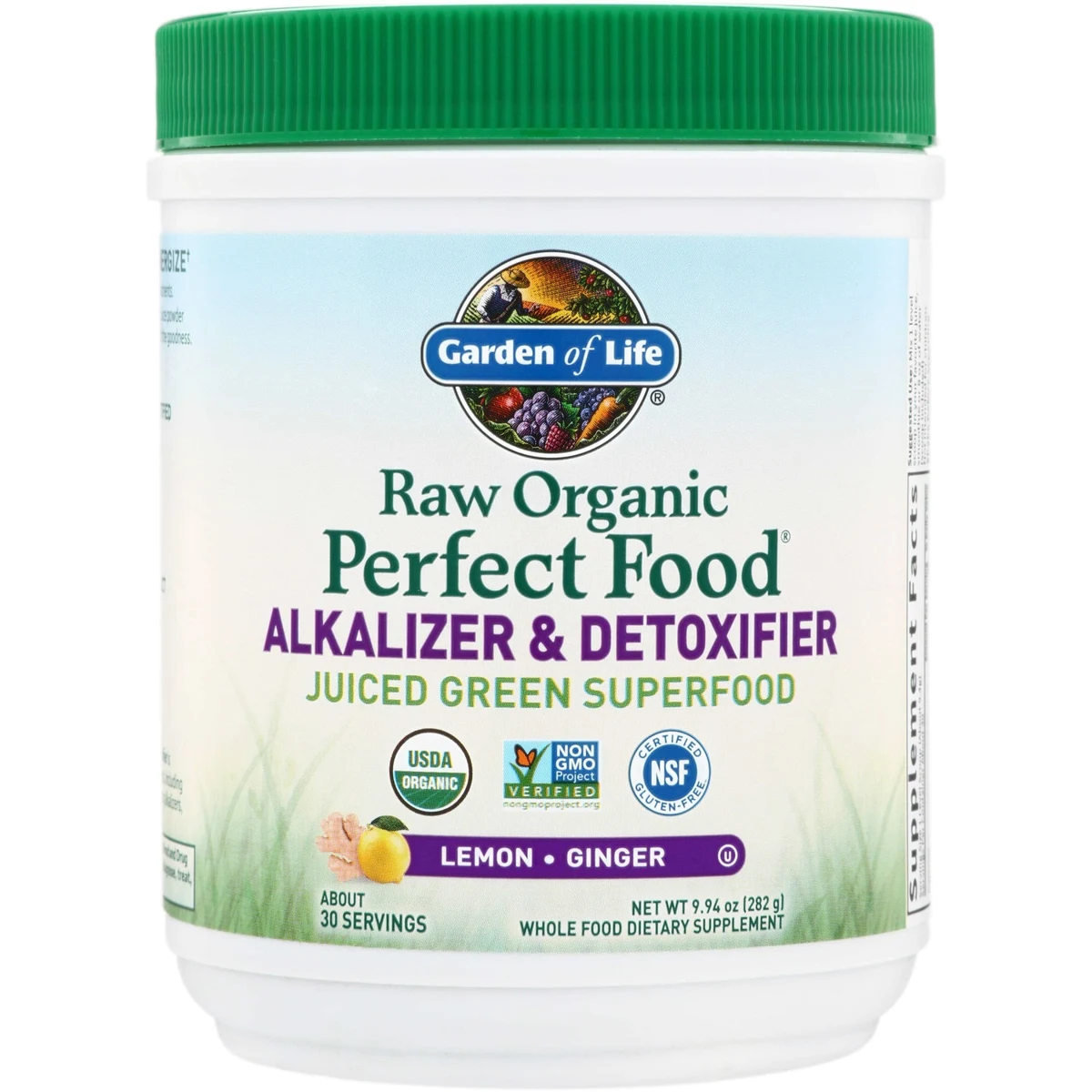 Garden of Life Raw Organic Perfect Food Alkalizer & Detoxifier -Lemon Ginger