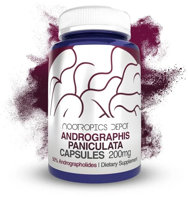 Nootropics Depot Andrographis paniculata Capsules