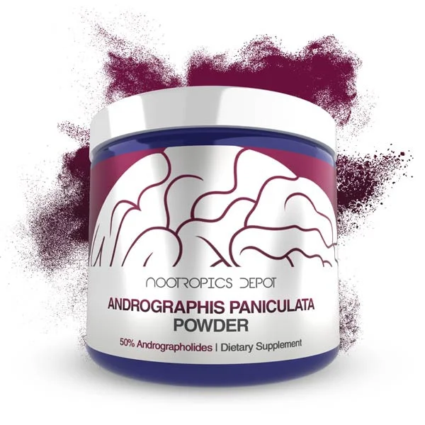 Nootropics Depot Andrographis paniculata Powder
