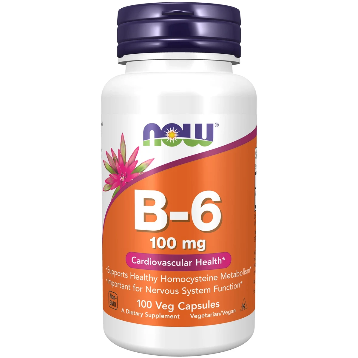 NOW Foods B-6