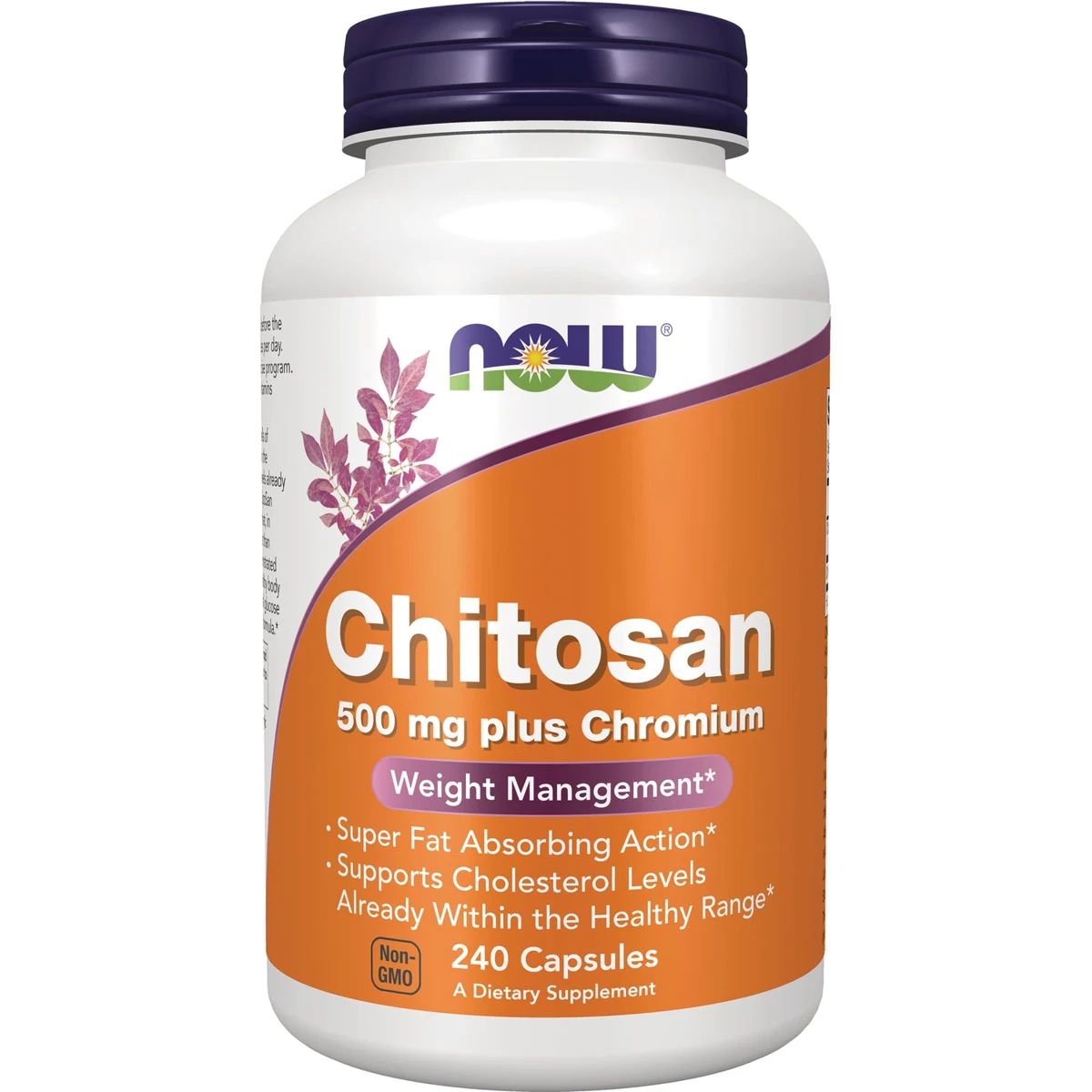 NOW Foods Chitosan plus Chromium